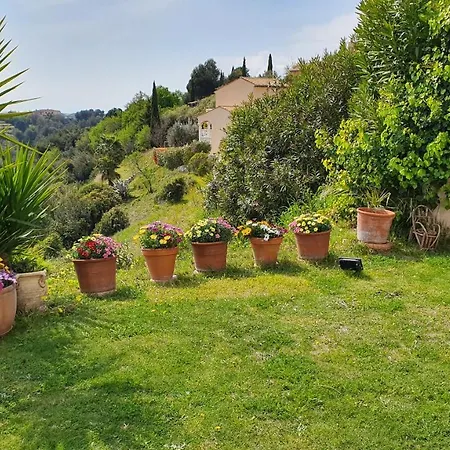 Studio-mezzanine Dans